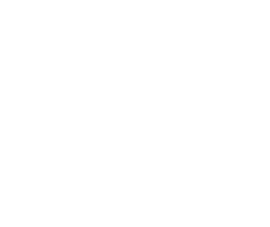logo 19