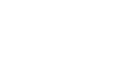 logo 20